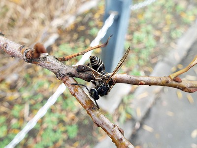 DSCF3854.jpg