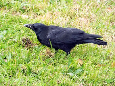 DSCF3865.jpg