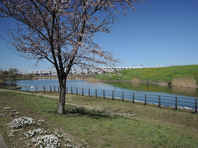 DSCN9497.jpg