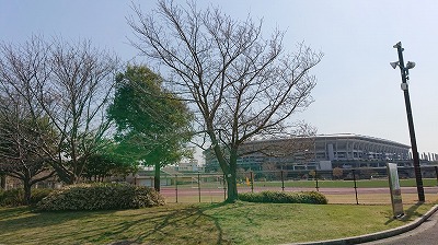 DSC_0108.jpg