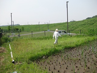 代掻き1.jpg