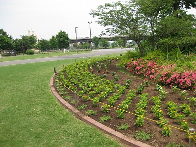中央広場花壇.jpg
