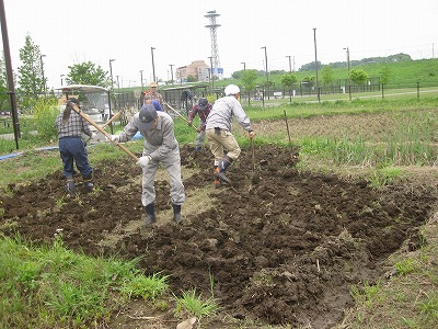 2013田起こし2.jpg