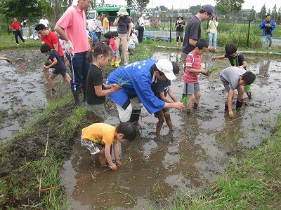 20130608田植え3.jpg