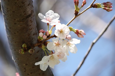 IMG_4868.jpg