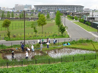 田んぼ3.jpg