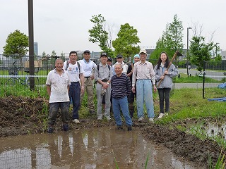 田んぼ4.jpg