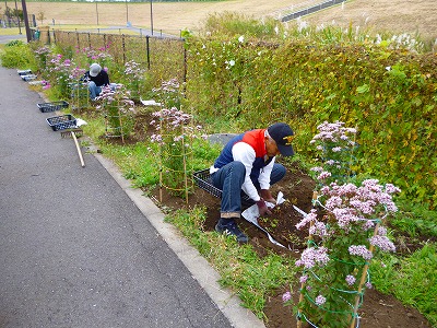 運営ﾎﾞﾗ1103-2.jpg