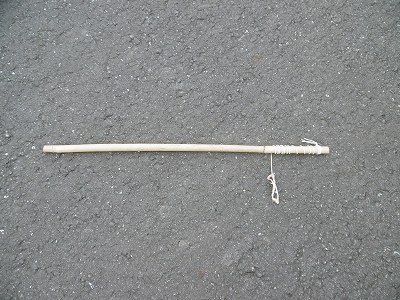 P1100051.jpg
