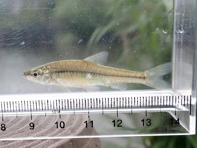 SBT44269_Re.jpg