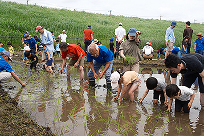 田植えイベント画像