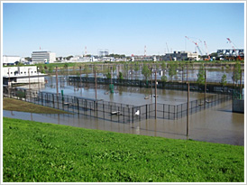 平成25年4月6日豪雨による園内浸水の様子1