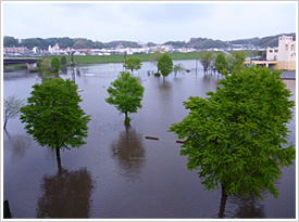 平成25年4月6日豪雨による園内浸水の様子2
