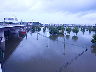 平成25年4月6日豪雨による園内浸水の様子1