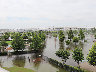 平成25年4月6日豪雨による園内浸水の様子1