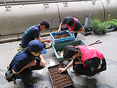 「芝」の育成指導の様子