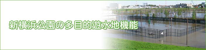 新横浜公園の多目的遊水地機能