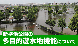 しばのすけデビュー！