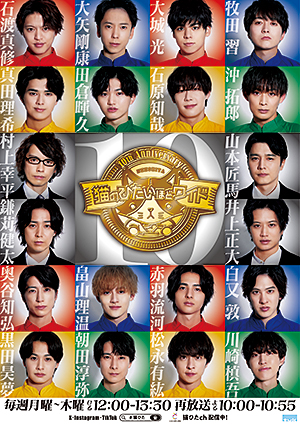 猫のひたいほどワイド