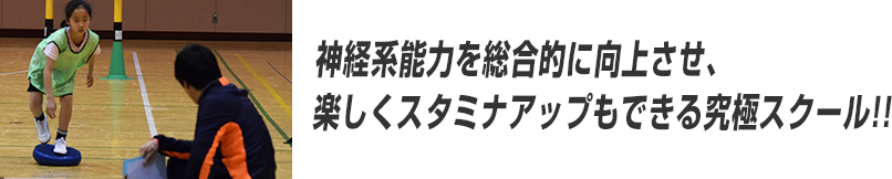 神経系能力を総合的に向上させ、楽しくスタミナアップもできる究極スクール!!
