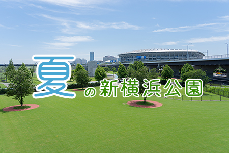 運動 広場 公園 新横浜 第 一